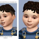 Alvin Hairstyle Toddler by Merci at TSR