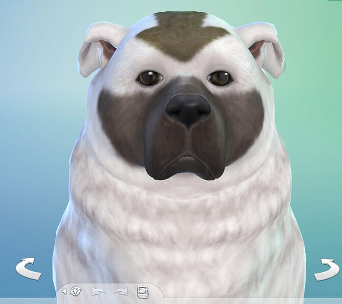 Appa from Avatar as dog by katie eevee at Mod The Sims 4