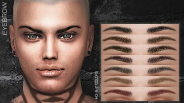 EYEBROW Z04 by ZENX at TSR