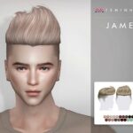 James Hair 144 by TsminhSims at TSR