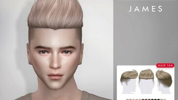 James Hair 144 by TsminhSims at TSR