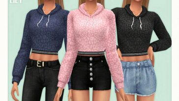 Leo Crop Hoodie by Black Lily at TSR