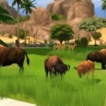 The Savannah and Little Pond at KyriaT’s Sims 4 World