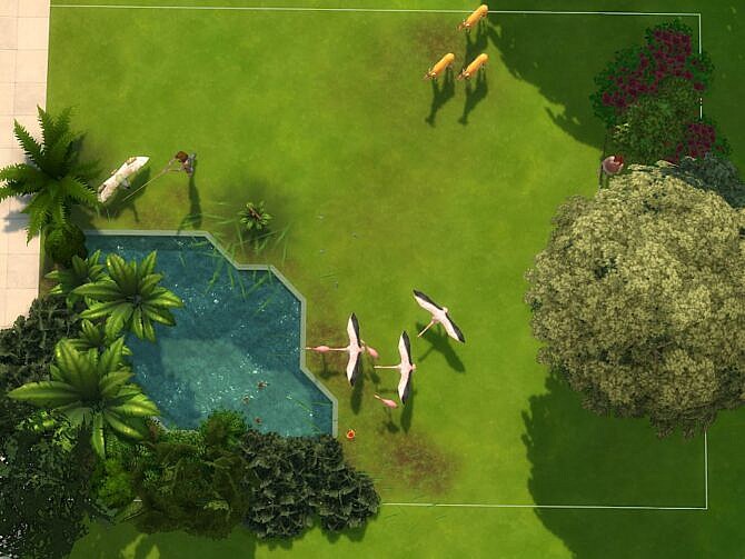 The Savannah and Little Pond at KyriaT’s Sims 4 World
