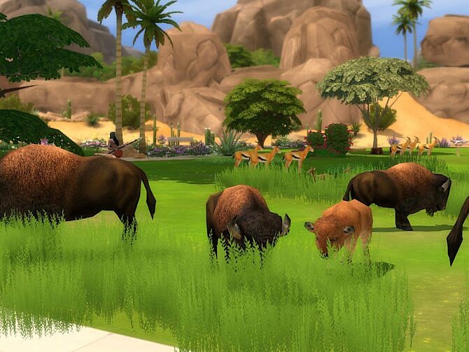 The Savannah and Little Pond at KyriaT’s Sims 4 World