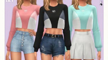 Three Color Crop Sweater by Black Lily at TSR