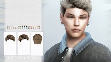 WINGS-TO0408 hair for males by wingssims at TSR