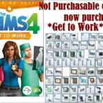 Not Purchasable objects now purchasable * Get to Work at Annett’s Sims 4 Welt