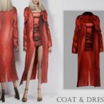 Formal Coat & Dress by turksimmer at TSR