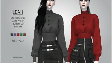 LEAH Stand Collar Blouse by Helsoseira at TSR