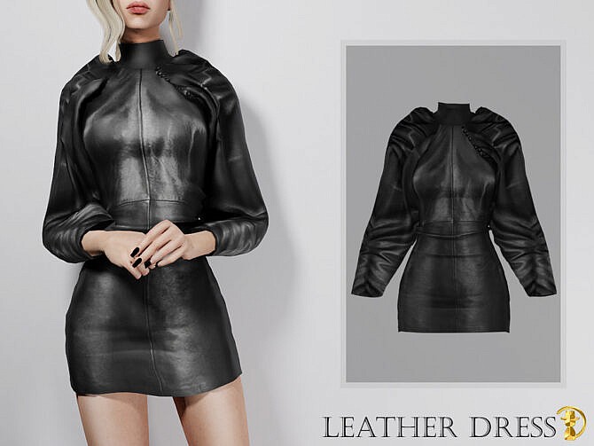 Leather Dress by turksimmer at TSR