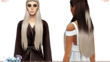 StrangerSims Conor Hair + Ombre at Shimydim Sims