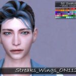 Streaks Wings Hair ON1120 by tatygagg at TSR