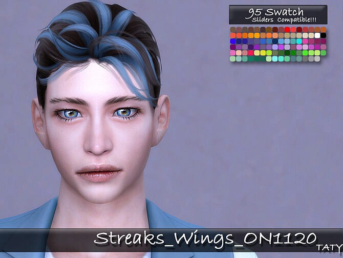 Streaks Wings Hair ON1120 by tatygagg at TSR