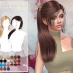 Absibdeon Hair Set by JavaSims at TSR