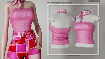 Colorblock Outfit (TOP) P39 by busra-tr at TSR