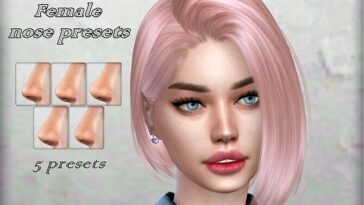 Female nose presets by Coffeemoon at TSR