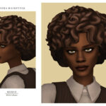 Aisha Hairstyle by Merci at TSR