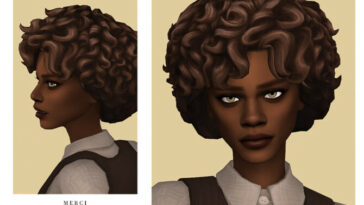 Aisha Hairstyle by Merci at TSR