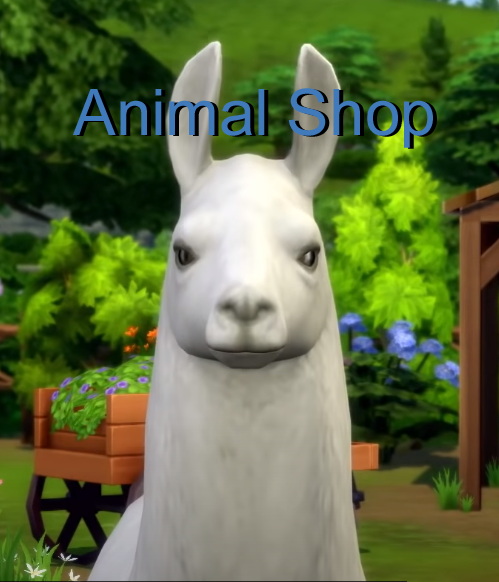 Animal Shop by Zafire at Mod The Sims 4