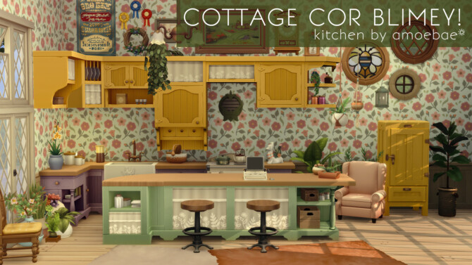 COTTAGE COR BLIMEY! Kitchen in Image Spectra at Picture Amoebae