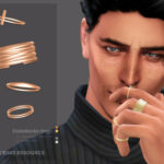 Caledonia male rings by sugar owl at TSR