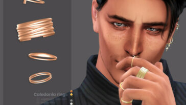 Caledonia male rings by sugar owl at TSR