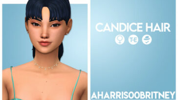 Candice Hair at AHarris00Britney