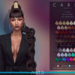 Cardi hair by Anto at TSR