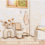 Cecial Bathroom by Mini Simmer at TSR