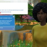 Cheat Shortcuts + by imjakedeason at Mod The Sims 4