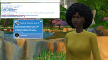 Cheat Shortcuts + by imjakedeason at Mod The Sims 4