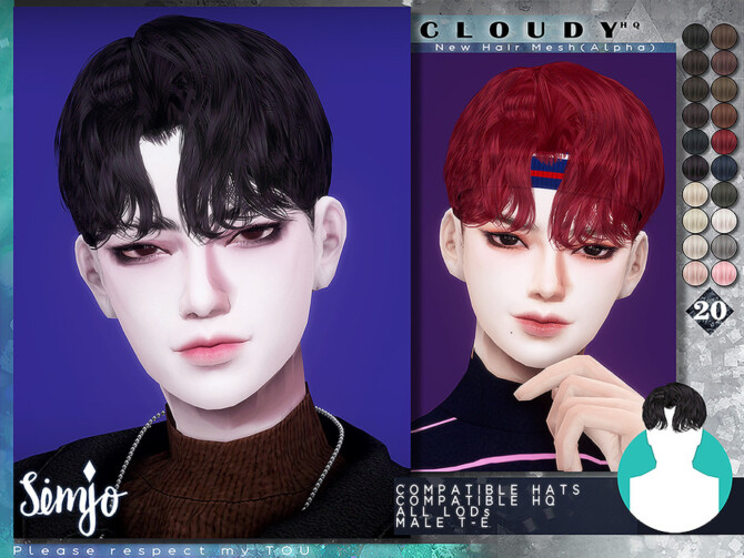 Cloudy Hair by KIMSimjo at TSR