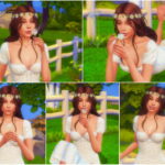 Dandelion Pose Pack at Katverse