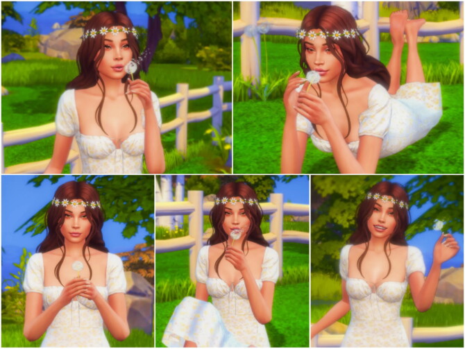 Dandelion Pose Pack at Katverse