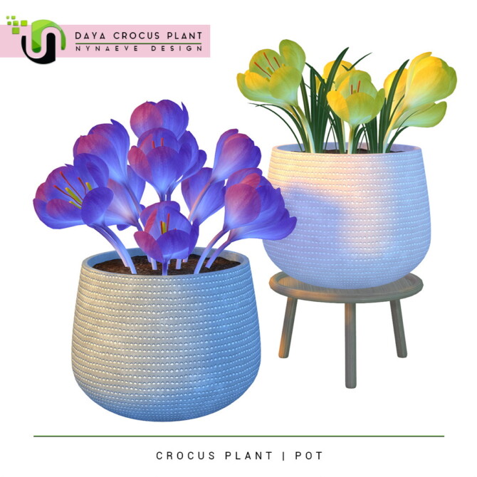 Daya Crocus Plant at Nynaeve Design