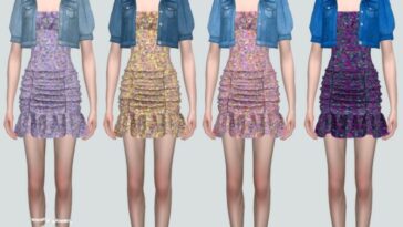 Denim Jacket With Shirring Dress at Marigold