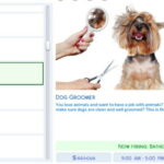 Dog Groomer Career by SimsStories13 at Mod The Sims 4