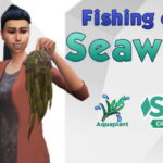 Edible Seaweed: Fishing reward and Cooking ingredients at Mod The Sims 4