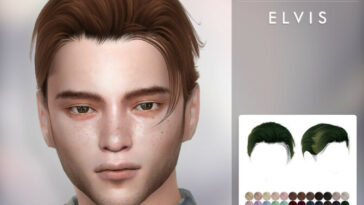 Elvis Hair by TsminhSims at TSR