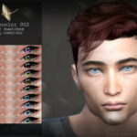 Eyecolor 002 by Aurum at TSR