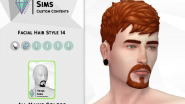 Facial Hair Style 14 by David_Mtv at TSR