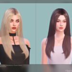 Female Hair G55 by Daisy-Sims at TSR