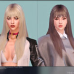 Female Hair G60 by Daisy-Sims at TSR