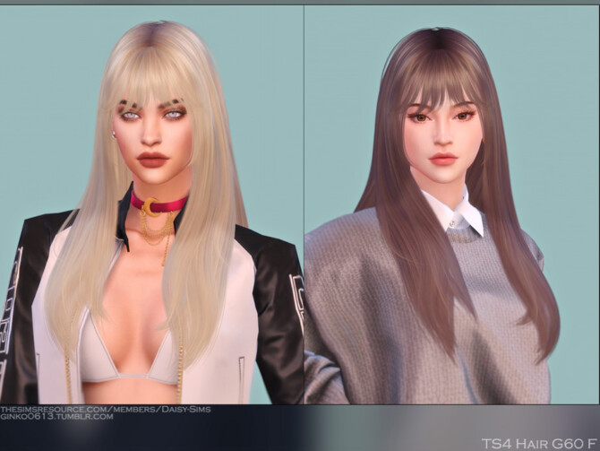 Female Hair G60 by Daisy-Sims at TSR