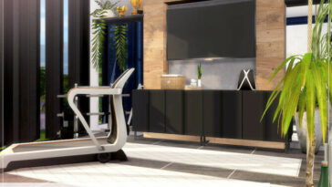 Gray Elegance Fitness Corner by Lhonna at TSR