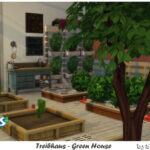 Green House by Simmy at All 4 Sims