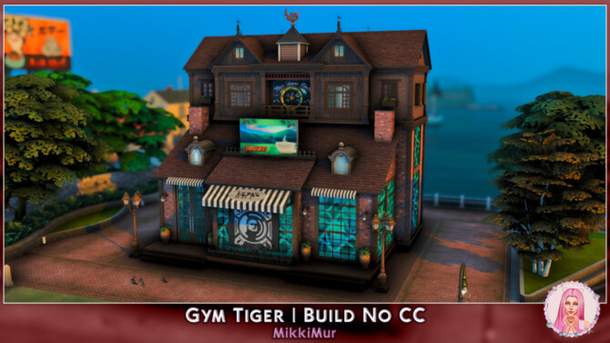 Gym Tiger at MikkiMur