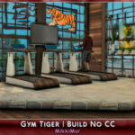 Gym Tiger at MikkiMur