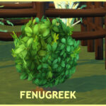 HARVESTABLE FENUGREEK at Icemunmun